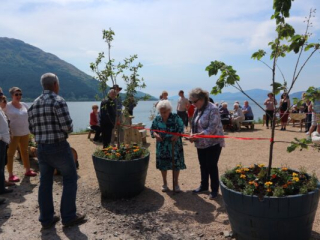 picnic_site-opening (1) picnic_site-opening (1)